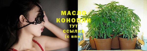молекула духа Гусь-Хрустальный