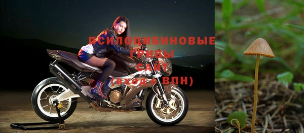 молекула духа Гусь-Хрустальный